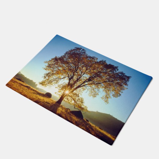 Black Oak Trees | Cleveland National Forest, CA Deurmat (Schuin)