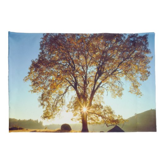 Black Oak Trees | Cleveland National Forest, CA Kussensloop (Achterkant-Rechts)
