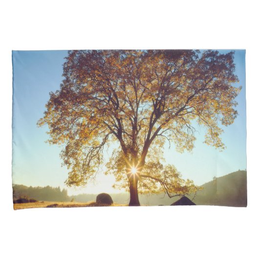 Black Oak Trees | Cleveland National Forest, CA Kussensloop (Voorkant-Rechts)