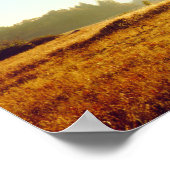 Black Oak Trees | Cleveland National Forest, CA Poster (Hoek)