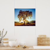 Black Oak Trees | Cleveland National Forest, CA Poster (Keuken)