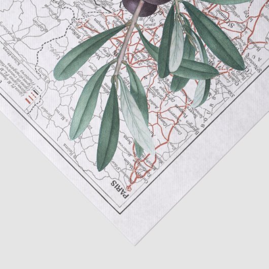 Black Olive Branch Map France Decoupage  Tissuepapier (Detail)