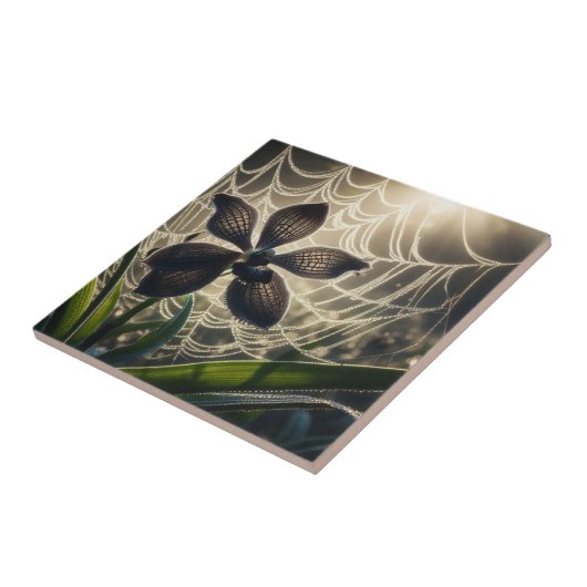 Black Orchid Spiderweb Floral Tegeltje (Zijkant)