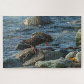 Black Oyster Catcher Legpuzzel (Horizontaal)