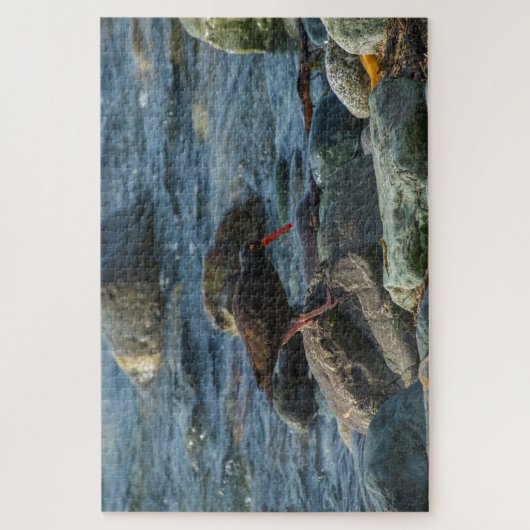 Black Oyster Catcher Legpuzzel (Verticaal)