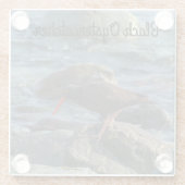 Black Oystercatcher Glazen Onderzetter (Achterkant)