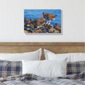 Black Oystercatcher See, Black Oystercatcher do Canvas Afdruk (Insitu (Slaapkamer))