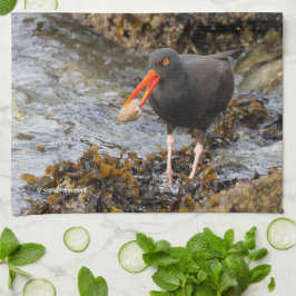 Black Oystercatcher Shorebird Vist bij het strand Theedoek