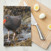 Black Oystercatcher Shorebird Vist bij het strand Theedoek (Quarter Fold)