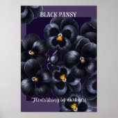 Black Pansy Dark Flowers Affirmatie Poster (Voorkant)