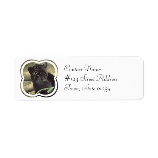 Black Panther Cat Mailing Label (Voorkant)