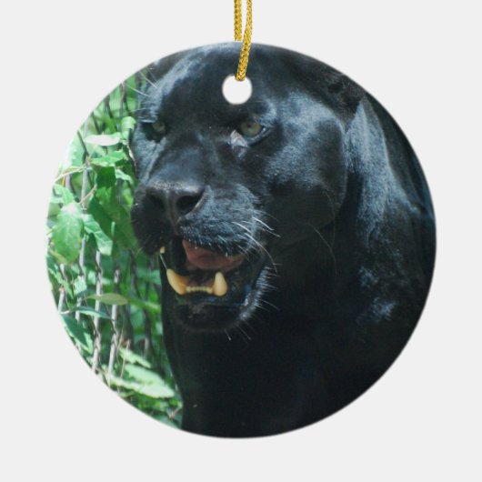 Black Panther Cat Ornament (Voorkant)