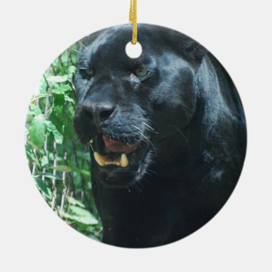 Black Panther Cat Ornament (Achterkant)