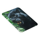 Black Panther Cat Premium magneet (Rechterzijde)