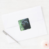 Black Panther Cat Stickers (Envelop)