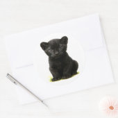 Black Panther Cub met grote ogen Ronde Sticker (Envelop)