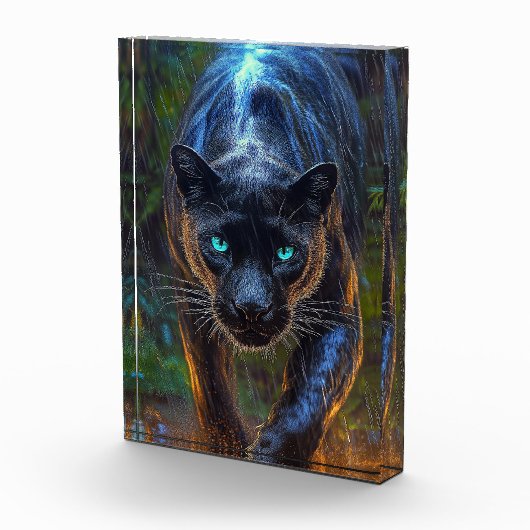 Black Panther Fotoblokken (Rechts)