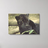 Black Panther Jaguar Canvas Afdruk (Voorkant)