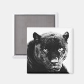 Black Panther Jaguar Magneet (Voorkant / Achterkant)