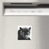 Black Panther Jaguar Magneet (Insitu (Vaatwasser))