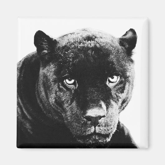 Black Panther Jaguar Magneet (Voorkant)