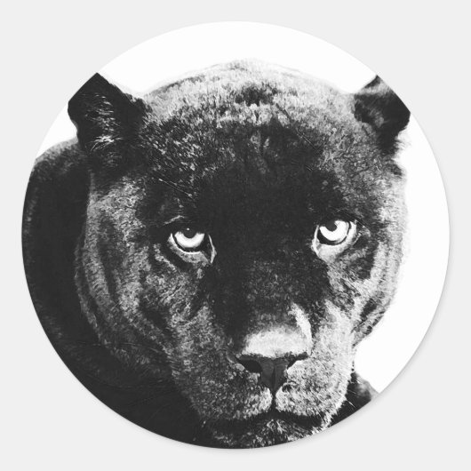 Black Panther Jaguar Ronde Sticker (Voorkant)
