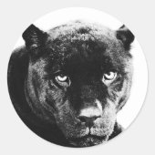 Black Panther Jaguar Ronde Sticker (Voorkant)