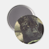 Black Panther Magnet (Voorkant / Achterkant)