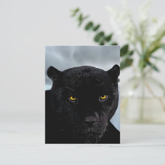 Black Panther Panthera Briefkaart (Staand voorkant)