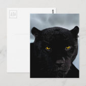 Black Panther Panthera Briefkaart (Voorkant / Achterkant)