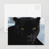 Black Panther Panthera Briefkaart (Voorkant / Achterkant)