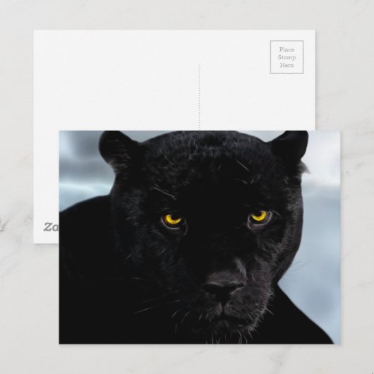 Black Panther Panthera Briefkaart (Voorkant / Achterkant)