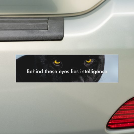 Black Panther Panthera Bumpersticker (Op auto)