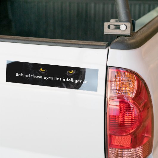 Black Panther Panthera Bumpersticker (Op Truck)