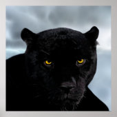Black Panther Panthera Poster (Voorkant)