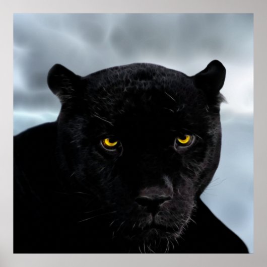 Black Panther Panthera Poster (Voorkant)