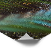 Black Panther Poster (Hoek)