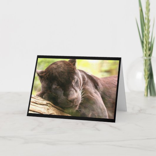 Black Panther Sleeping Wenskaart Kaart (Voorkant)