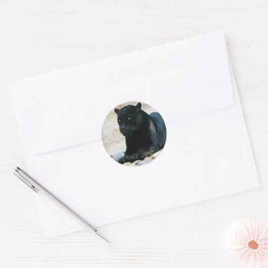 Black panther sticker (Envelop)