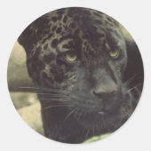 Black Panther Stickers (Voorkant)