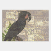 Black Parrot met Damask en Newsprint Inpakpapier Vel (Voorkant)