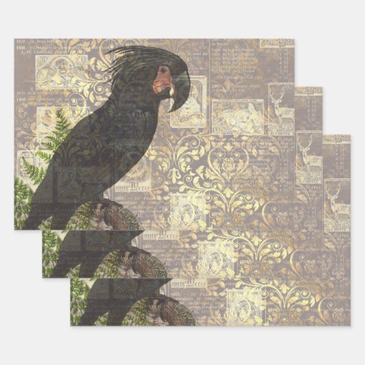Black Parrot met Damask en Newsprint Inpakpapier Vel (Set)