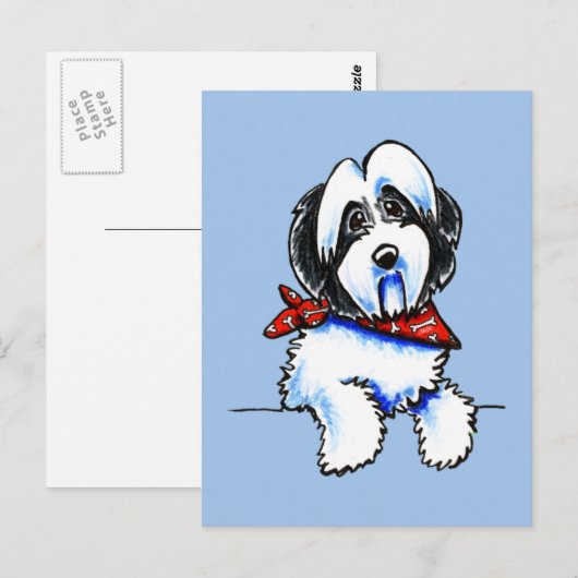 Black Parti Havanese Lil Bone Scarf Briefkaart (Voorkant / Achterkant)