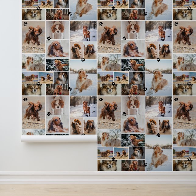 Black Paw print je hond 14 foto's patroon Behang (Applicatie)