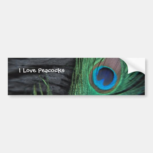 Black Peacock Feather Bumpersticker (Voorkant)