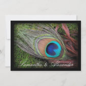 Black Peacock Feather w / Moss bruiloft uitnodigin Kaart (Achterkant)