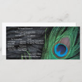 Black Peacock Velvet Achtergrond Trouwprogramma Programmakaart (Voorkant / Achterkant)