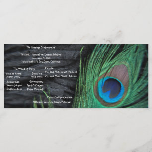 Black Peacock Velvet Background Wedding Programme Programmakaart
