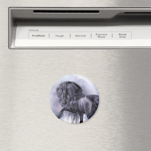 Black Pearl Magnet (Insitu (Vaatwasser))