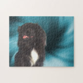 Black Pekingese Blue Swirls Dog Art Legpuzzel (Horizontaal)